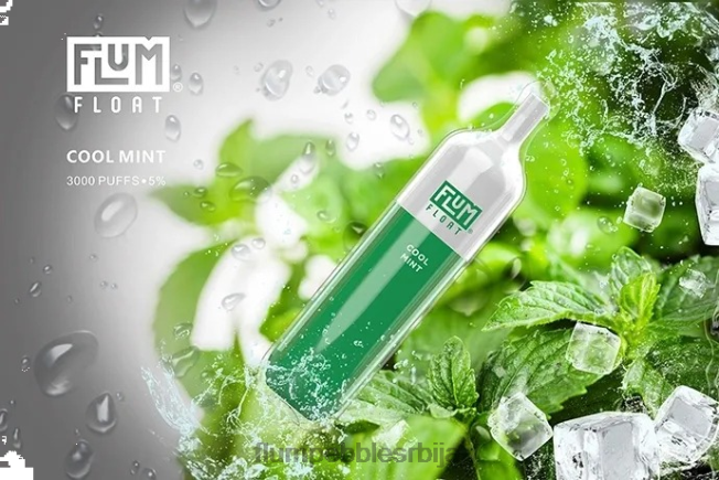 FLUM FLOAT 3000 пуффс цоол минт FLUM PEBBLE near me JPX0J25